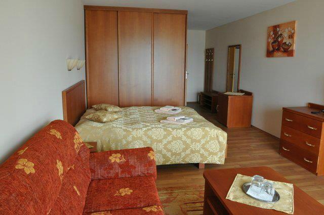 Hotel Pramen-客卧