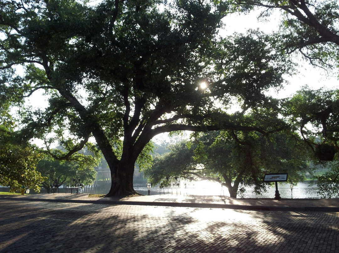 Cane River National Heritage Trail景点图片