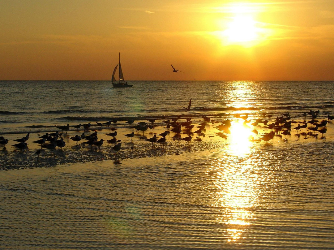 Sun Line Cruises-塔彭斯普林斯必去景点