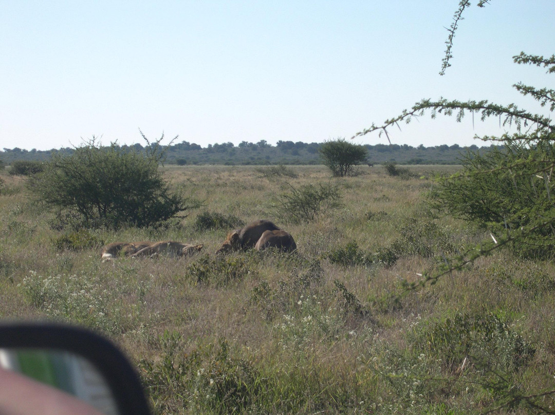 Dithakong Bed & Breakfast主图