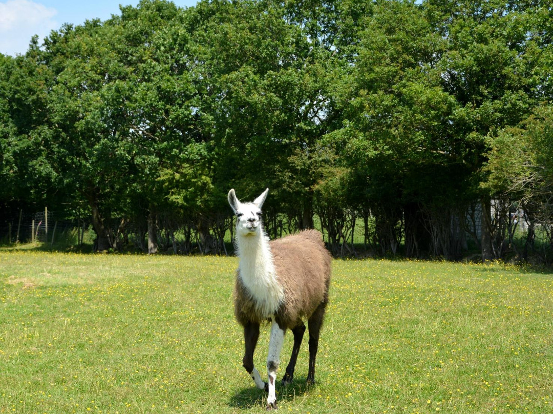 Blackberry Farm Park景点图片