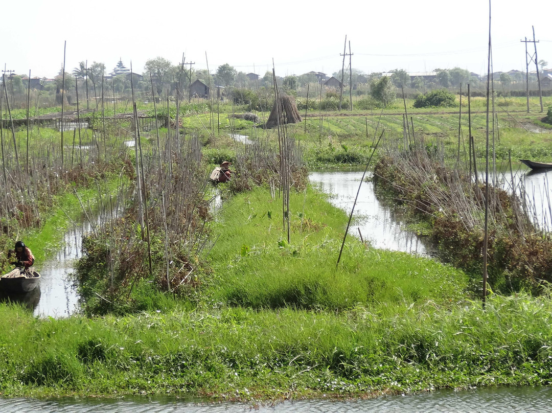 Floating Gardens-东枝必去景点
