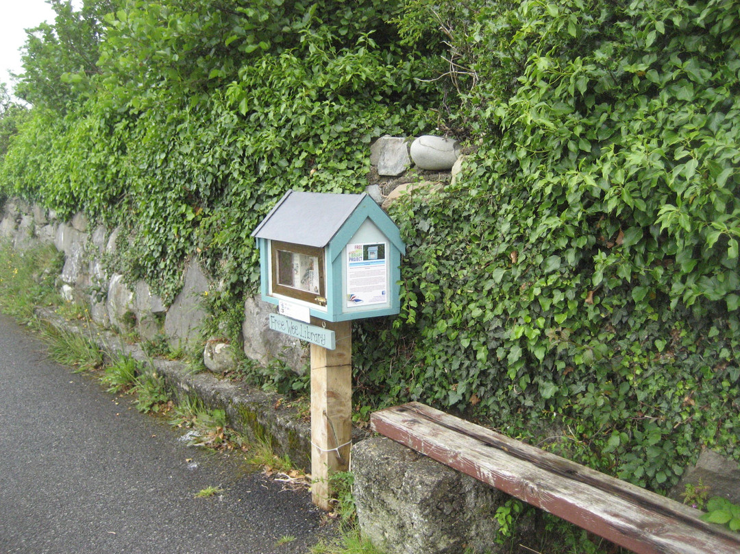 Free Wee Library-Buncrana必去景点