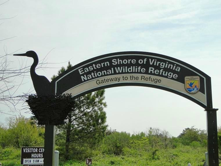 Eastern Shore of Virginia National Wildlife Refuge景点图片