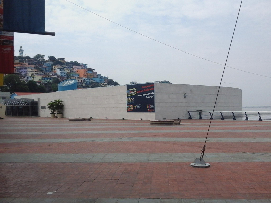 Museum of Anthropology and Contemporary Art景点图片