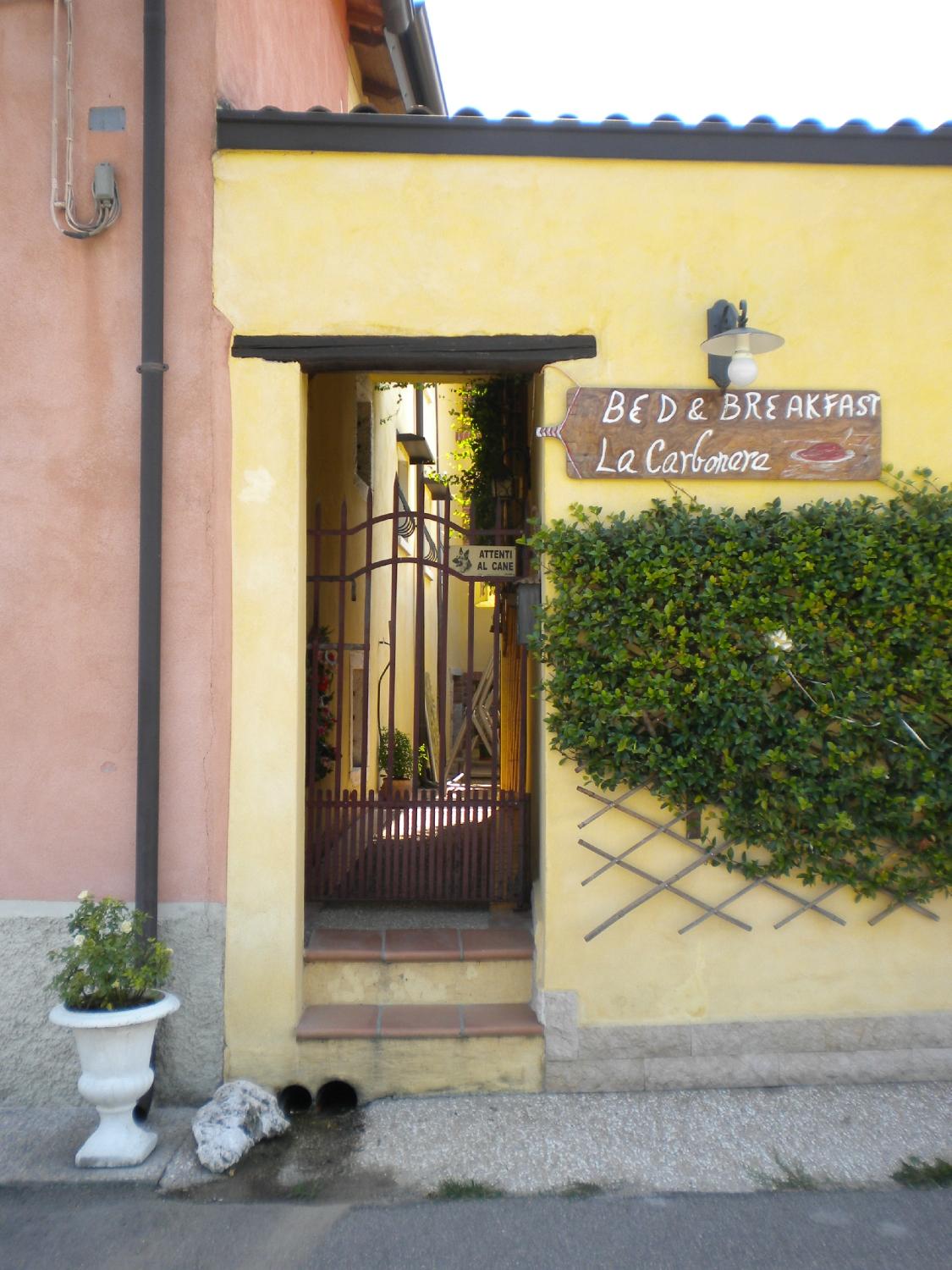 La Carbonara 6-官方