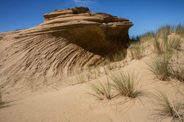 Sandtrails Hokianga-Mitimiti必去景点