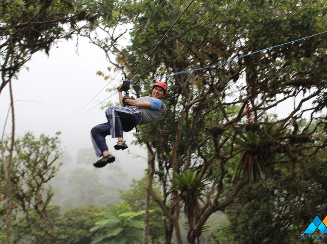 Mountain Views Inn主图