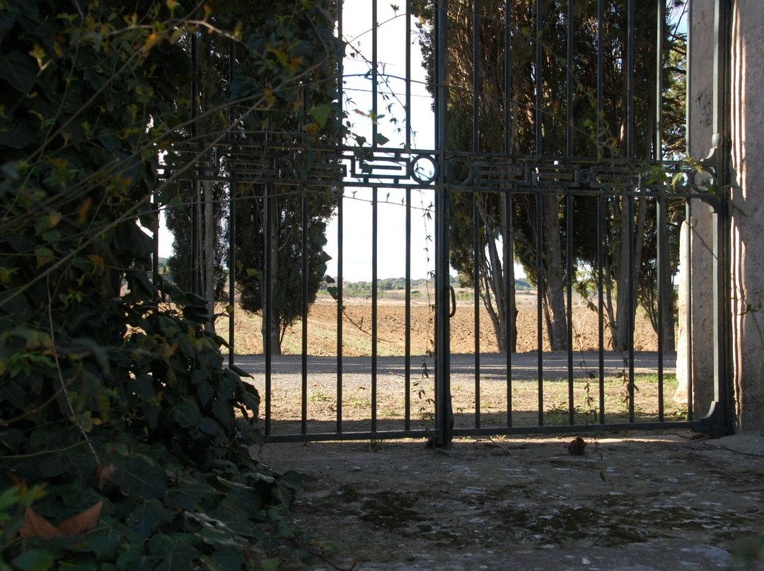 Domaine Saint Hilaire景点图片