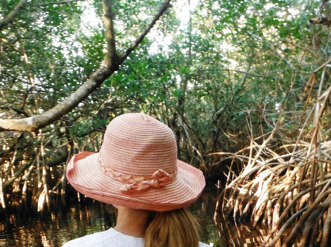 Tour The Glades - Private Wildlife Tours-大沼泽地必去景点