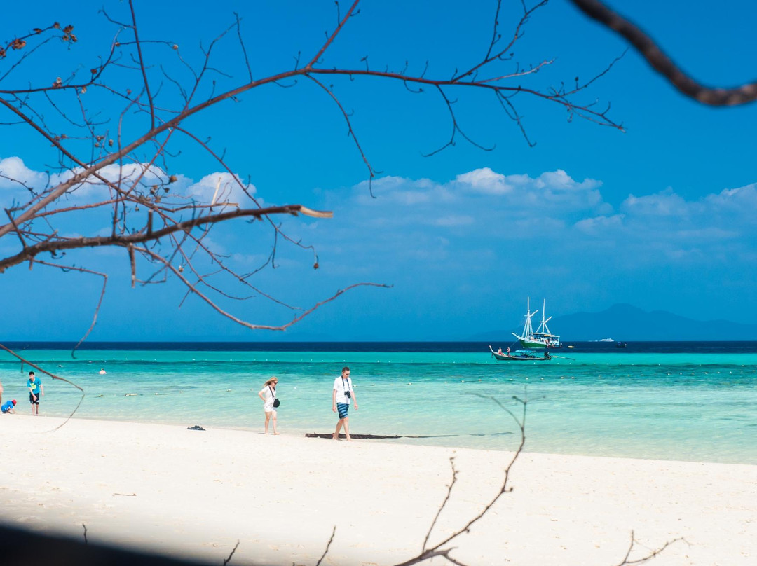 Asian Dolphins Day Tours-普吉镇必去景点