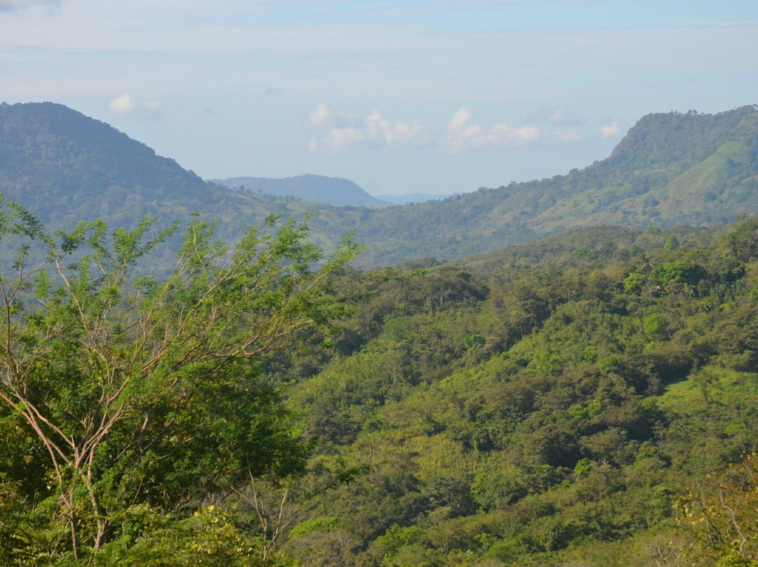 Alouatta Sanctuary景点图片