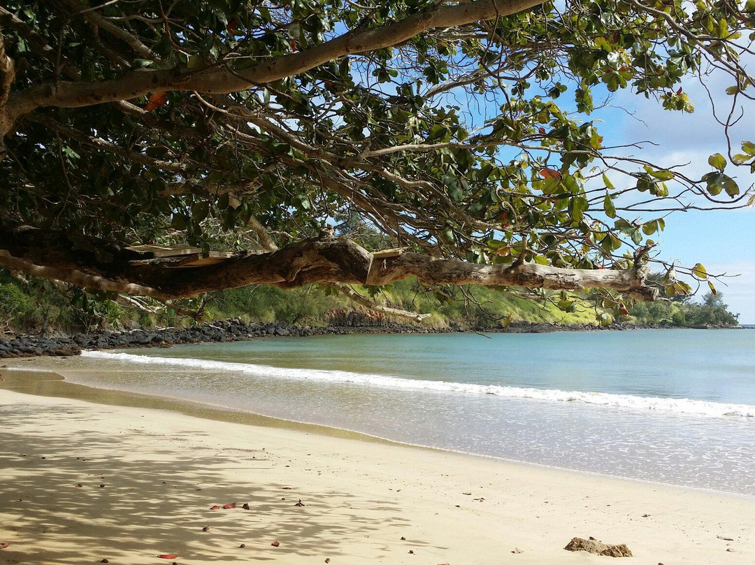 Hanamaulu Beach-可爱岛必去景点