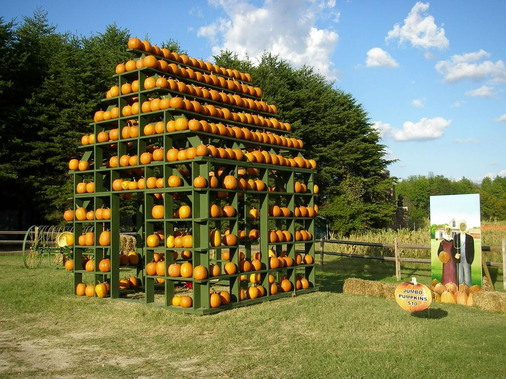 Kersey Valley Maize Adventure景点图片
