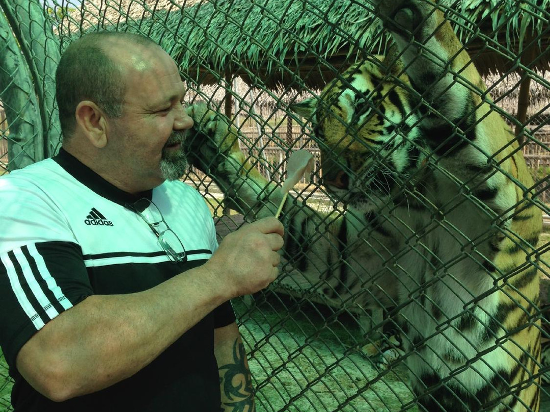 Tiger World Thailand景点图片