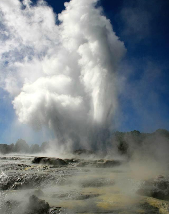 Cruise Tours Tauranga