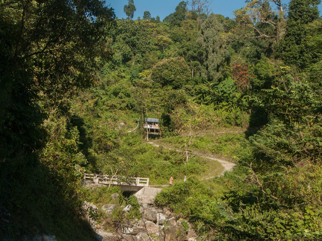 Buxa Tiger Reserve景点图片