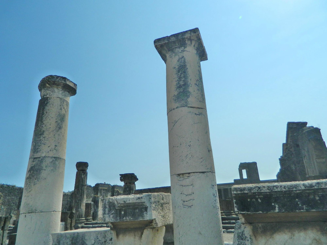 Foro de Pompeya景点图片