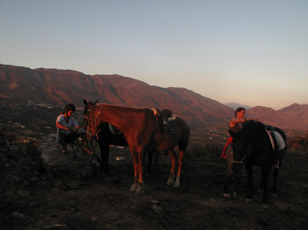 Plakias Horse Riding Center-Plakias必去景点