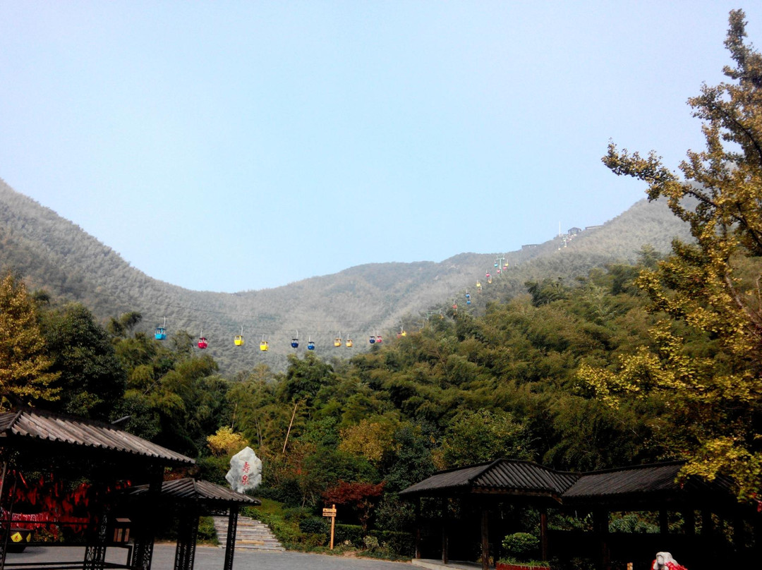 南山竹海景点图片