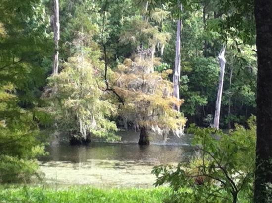 Claiborne West Park-Vidor必去景点