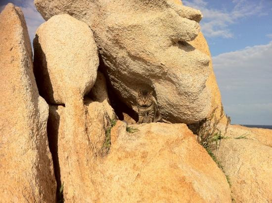 Daewangam Park-蔚山必去景点