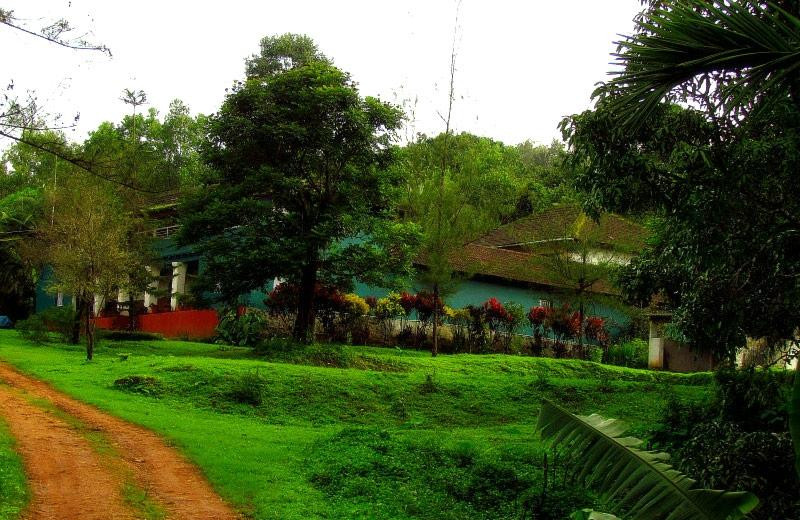 Ammadi Home stay