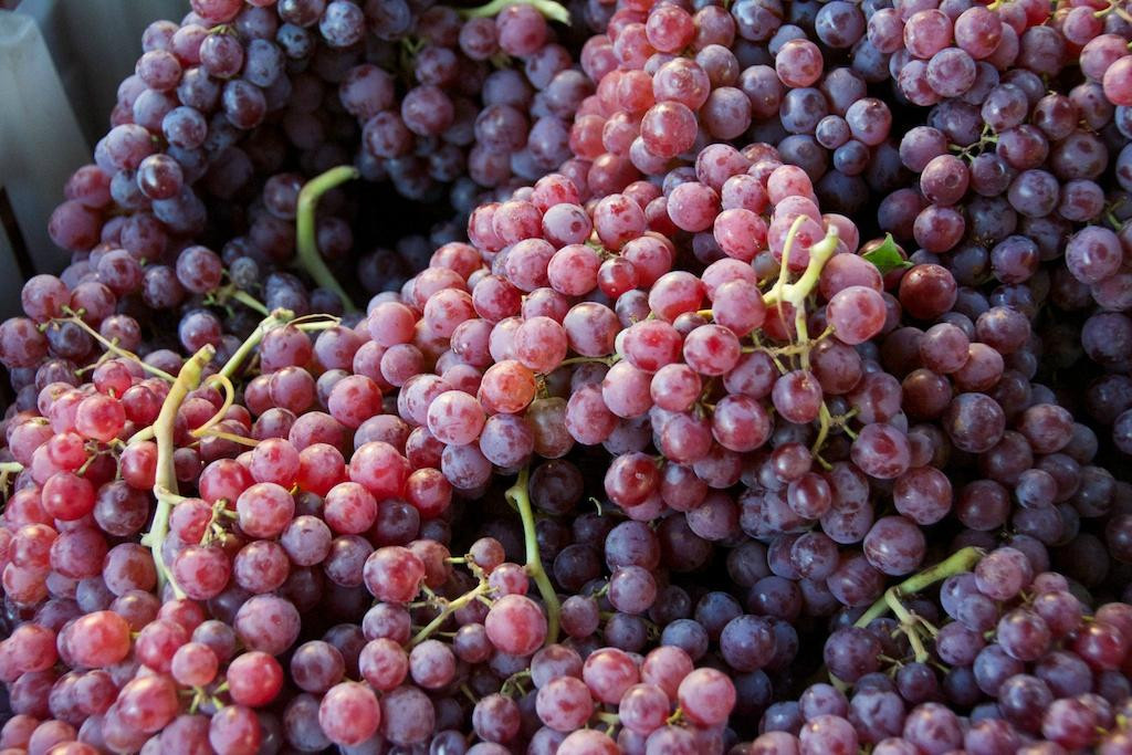 Benicia Certified Farmers Market-贝尼西亚必去景点