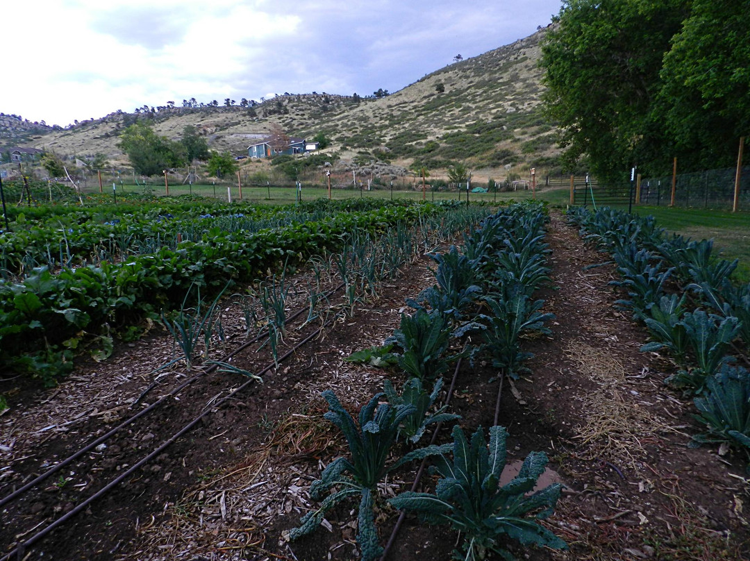Lyons Farmette-Lyons必去景点