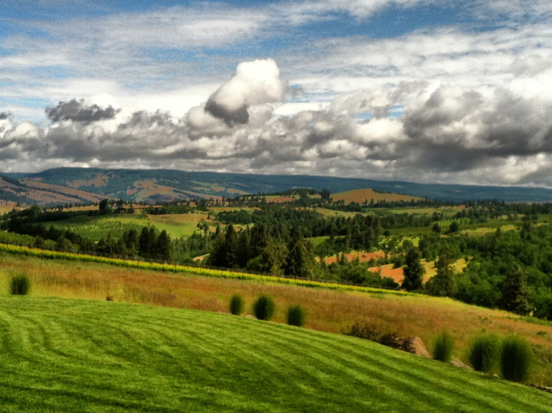 Three Sleeps Vineyard B & B主图