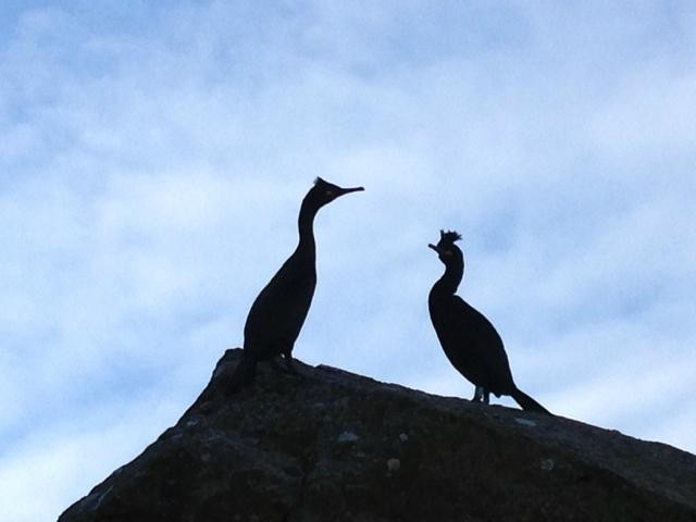 Druimard Country House主图