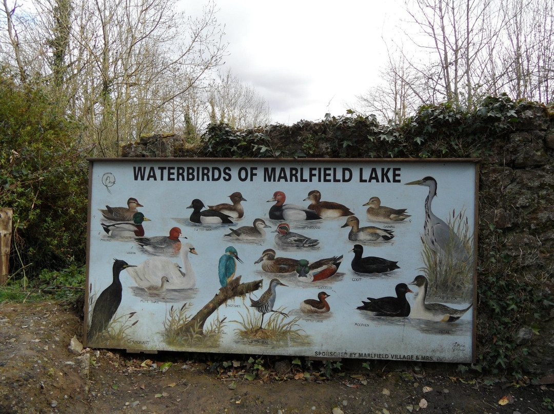 Marfield Lake-Clonmel必去景点
