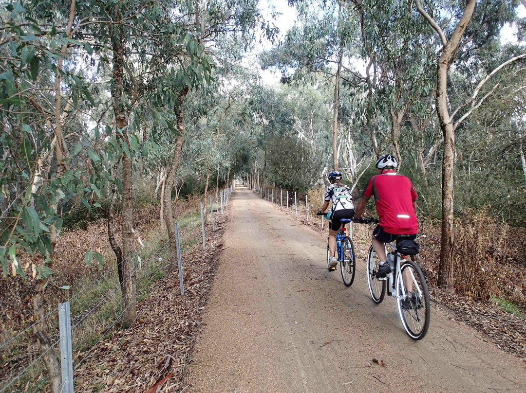 Great Victorian Rail Trail-维多利亚必去景点