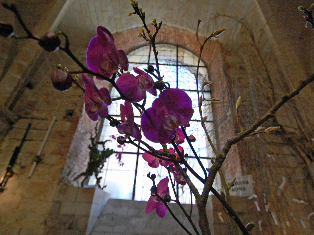 Abbaye de Vaucelles景点图片