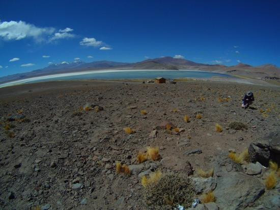 Parque Nacional Nevado Tres Cruces-Copiapo必去景点