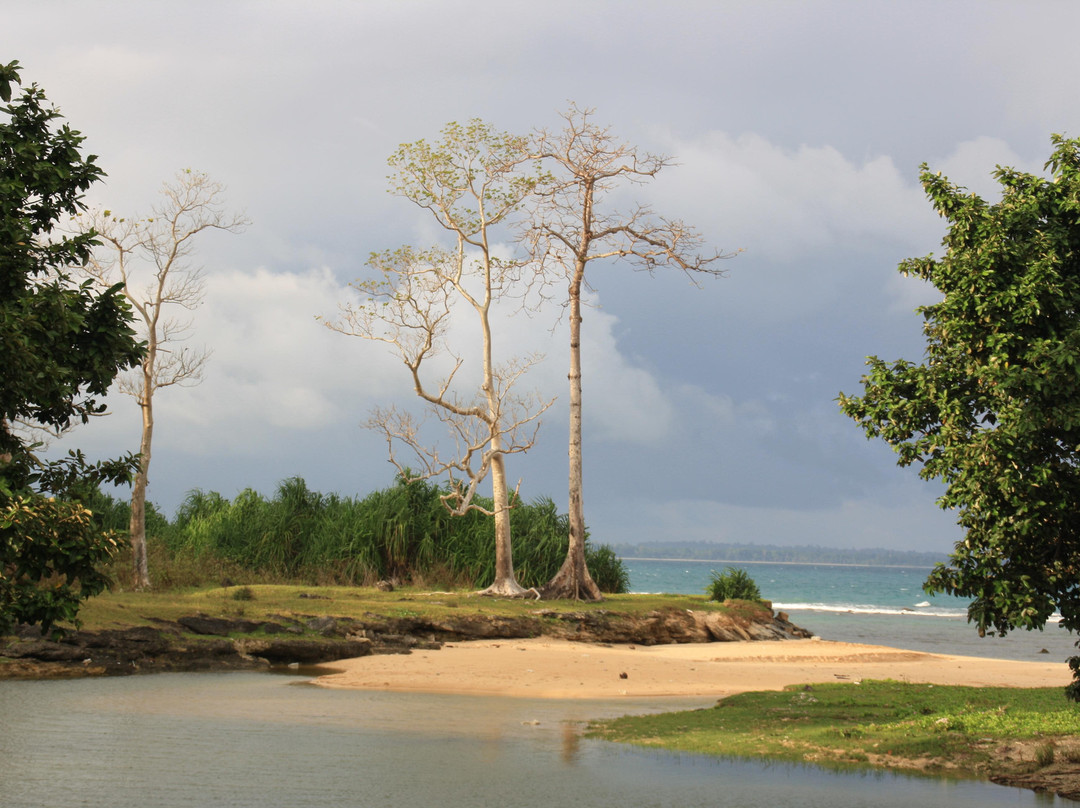 Little Andaman Island景点图片
