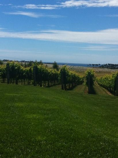 Ghost Rock Tasmania-Northdown必去景点