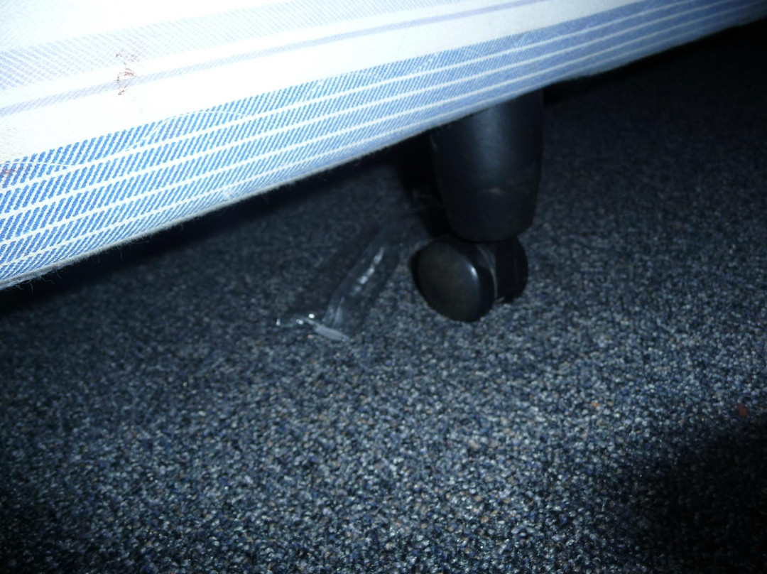 Southern Cross Palace Hotel主图