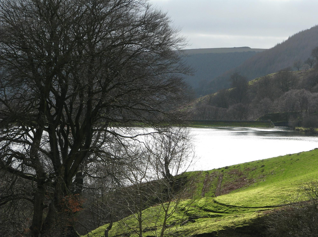 Cwmtillery Lakes景点图片