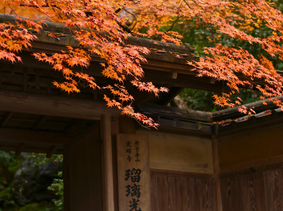 瑠璃光院-京都市必去景点