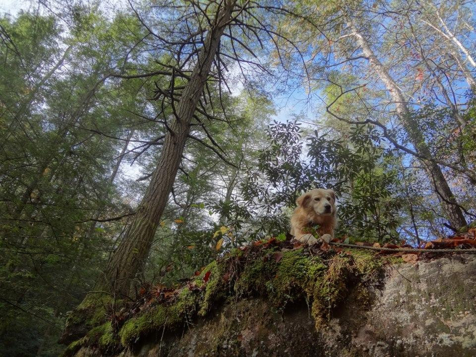 Farm House Inn主图