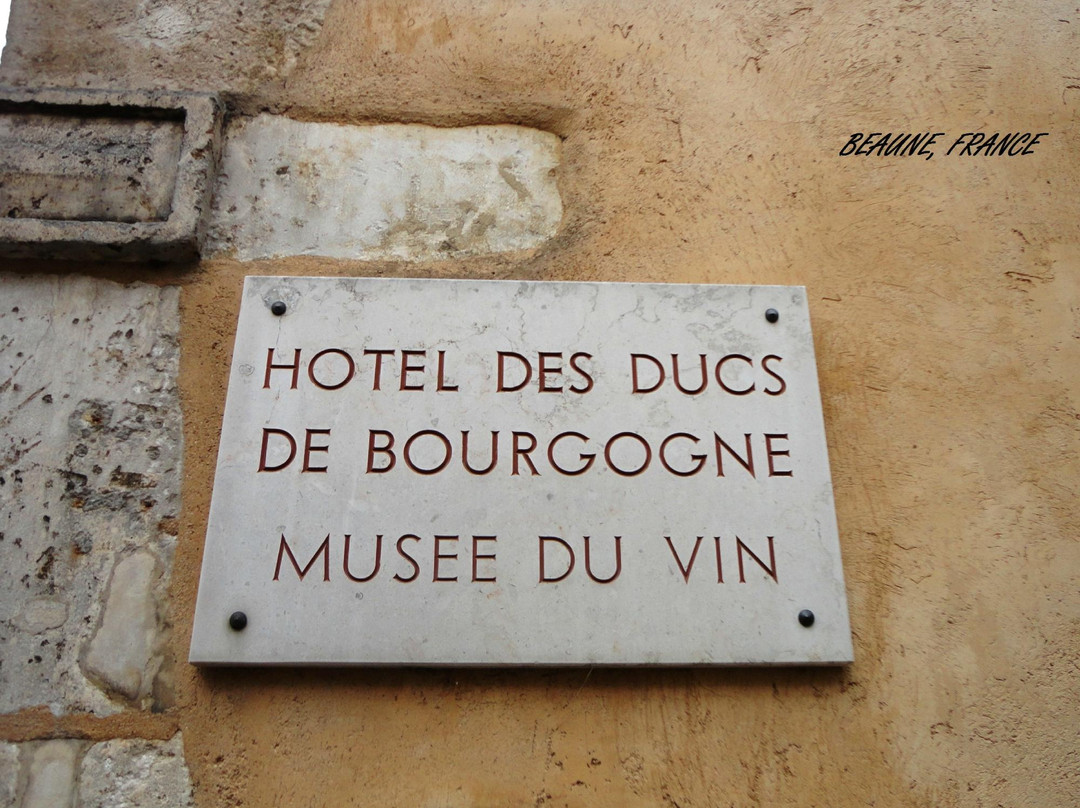 Musée du Vin景点图片