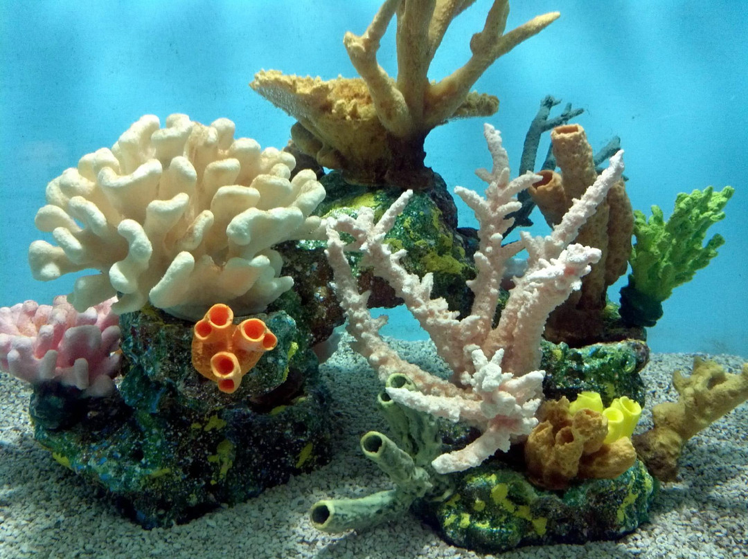 尼亚加拉水族馆-尼亚加拉大瀑布必去景点