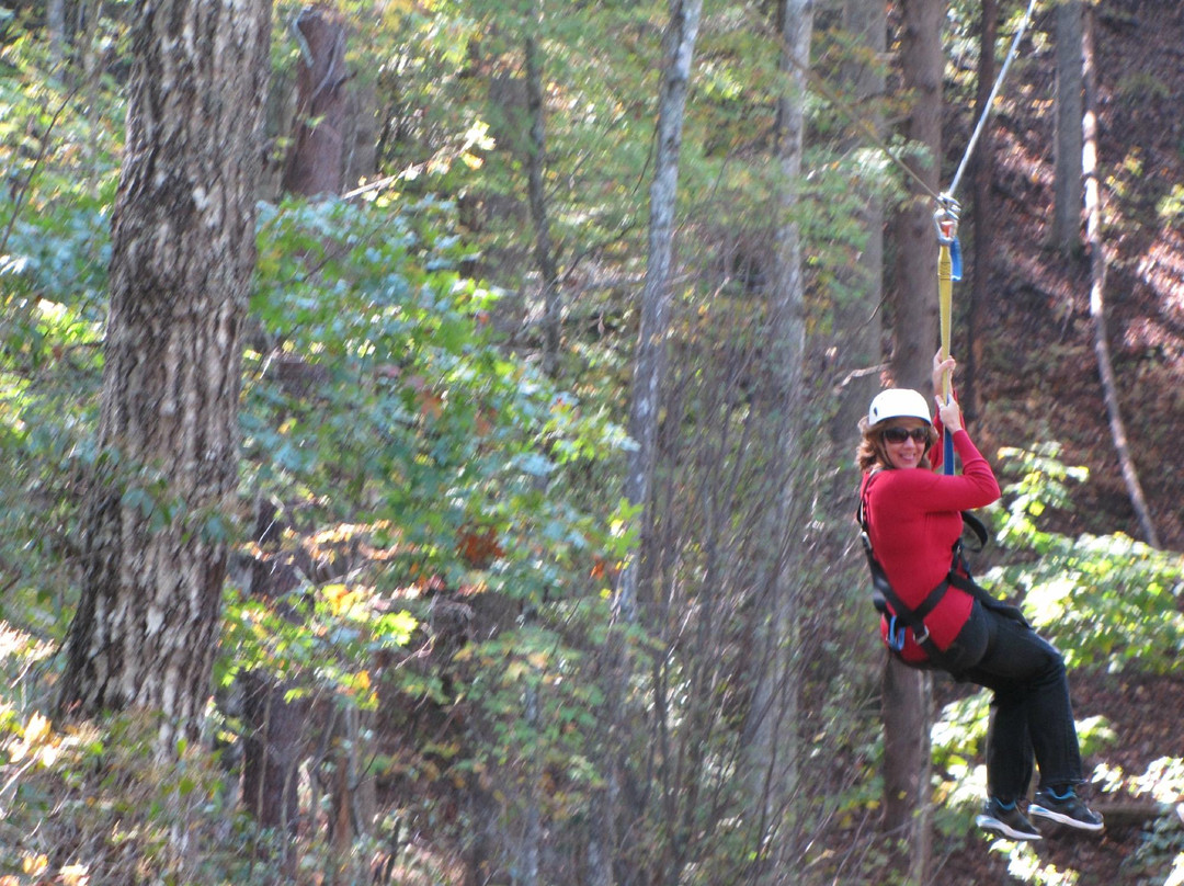 Canopy Ridge Farm-Lake Lure必去景点