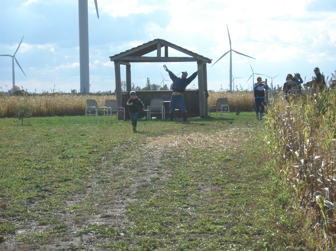 Wolfe Island Corn Maze景点图片