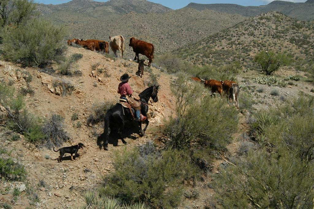 Williams Family Ranch