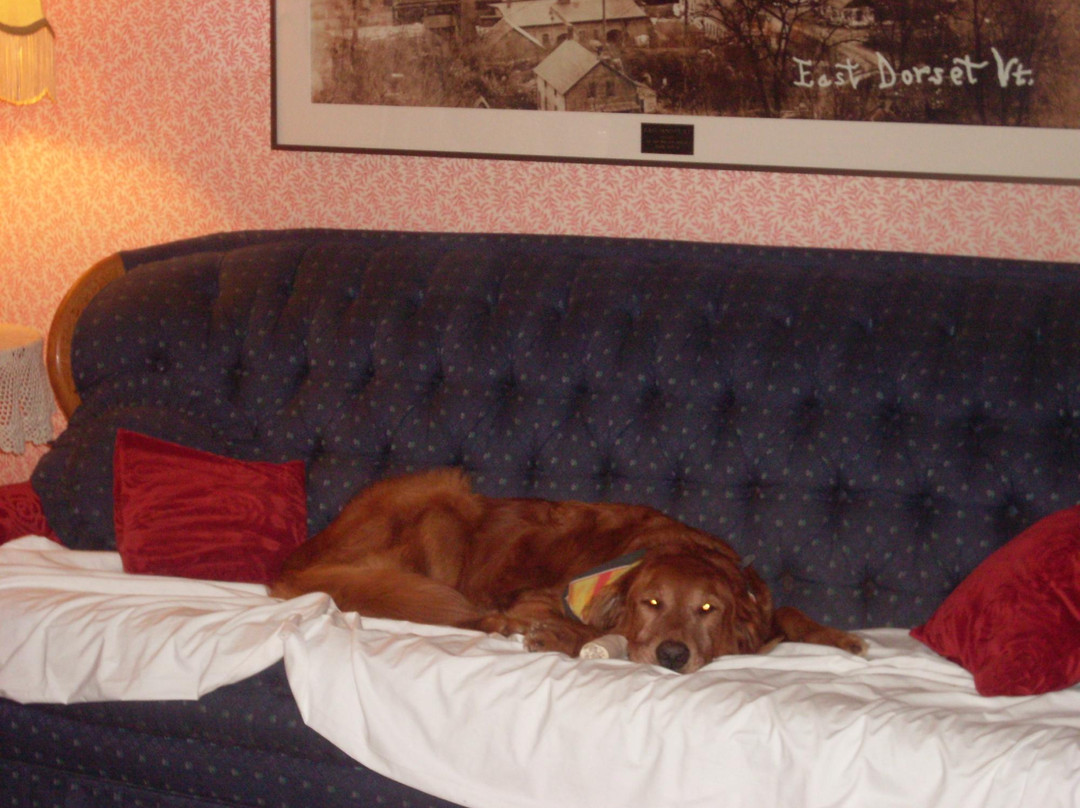 The Wilson House主图