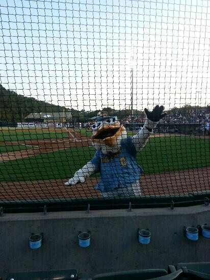 Myrtle Beach Pelicans-美特尔海滩必去景点