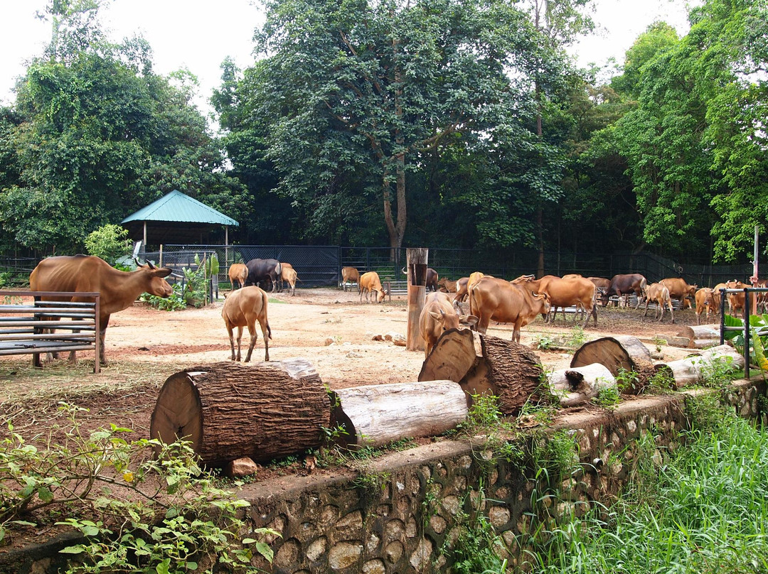 Zoo Melaka-爱极乐必去景点