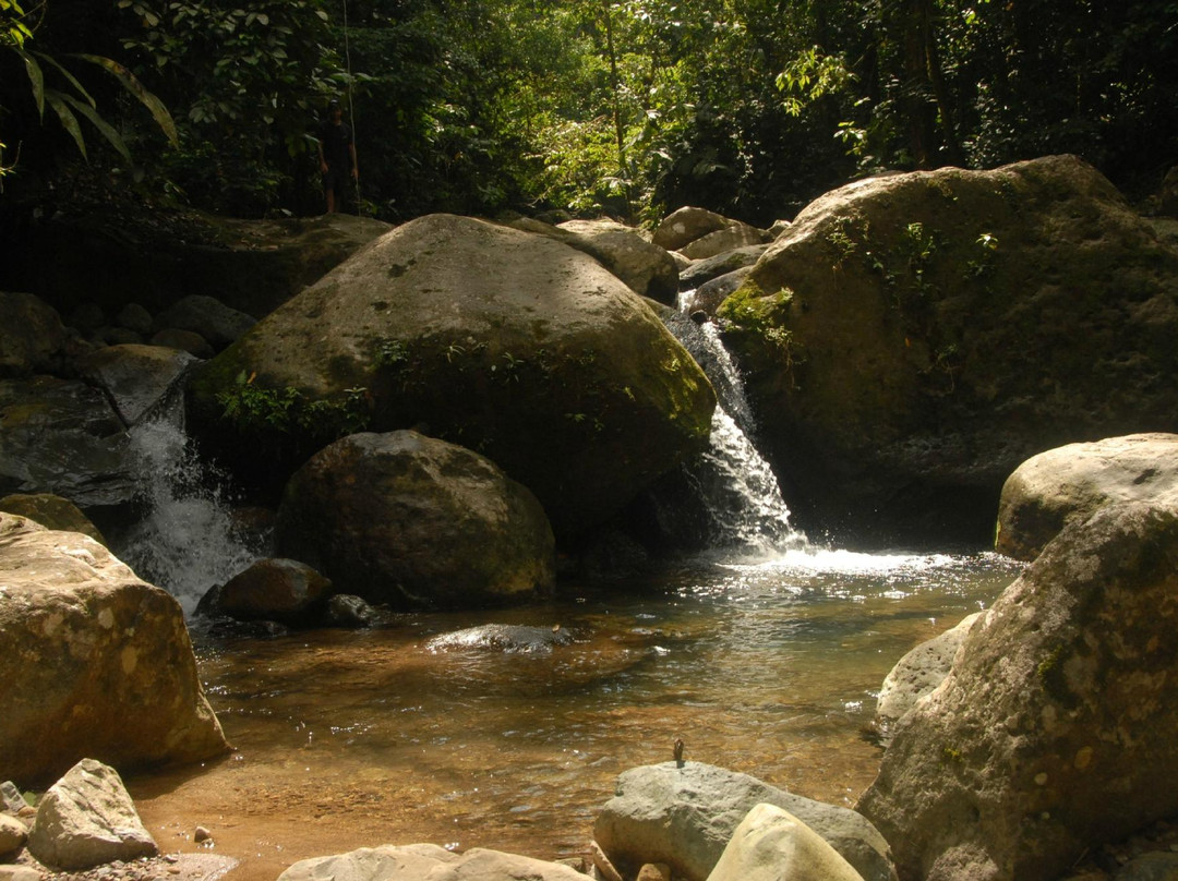 Rambala Jungle Lodge Panama